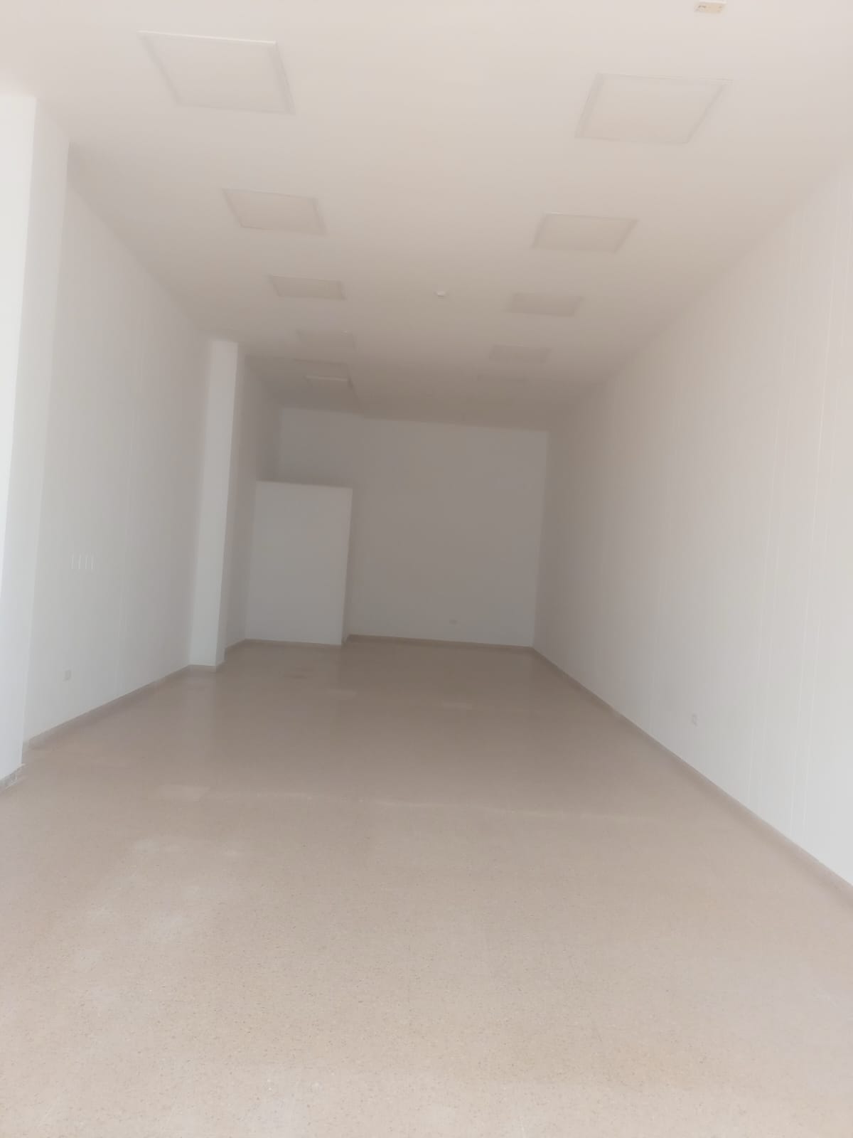 Local Comercial en Arriendo foto 3