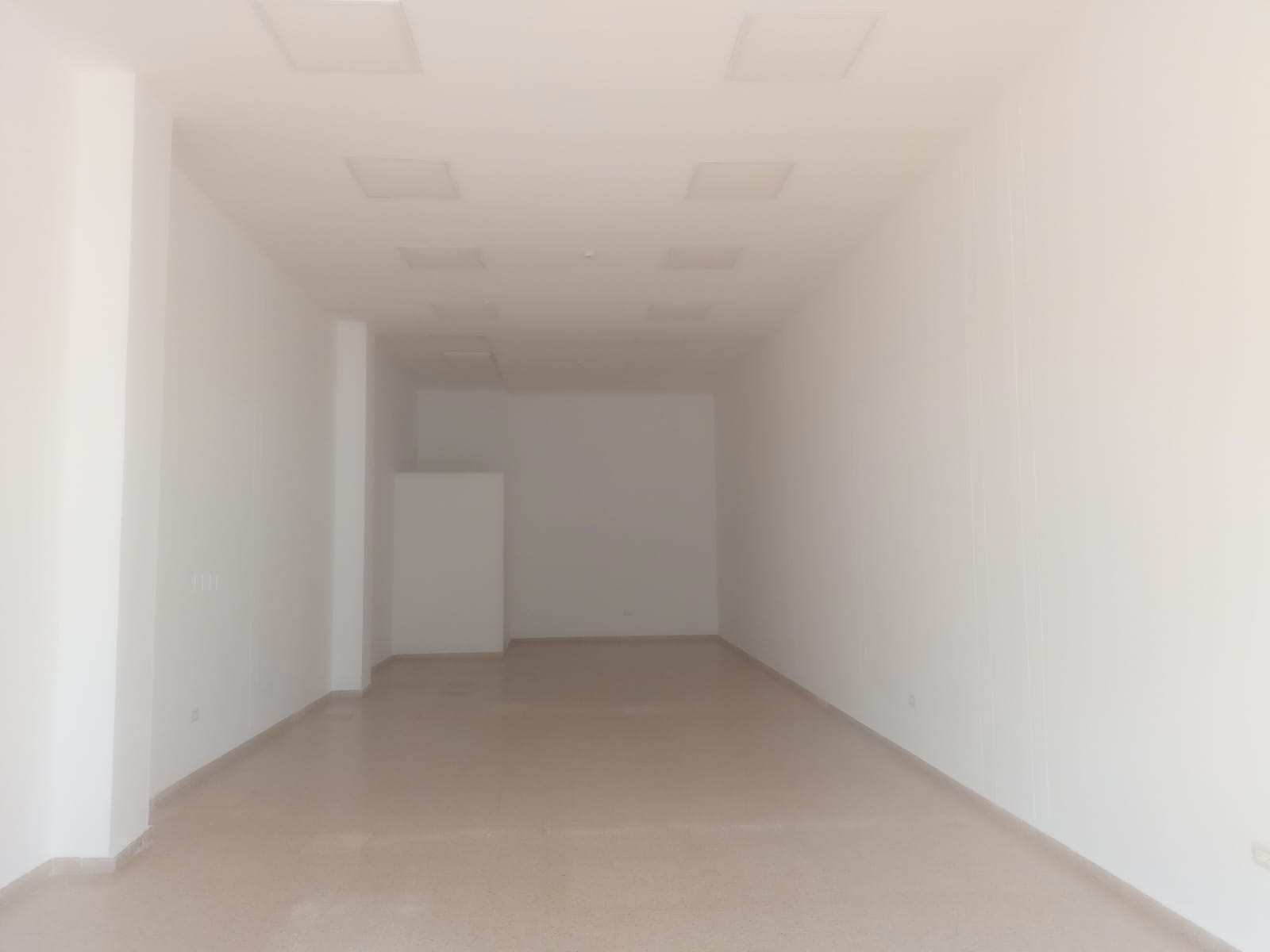 Local Comercial en Arriendo foto 4